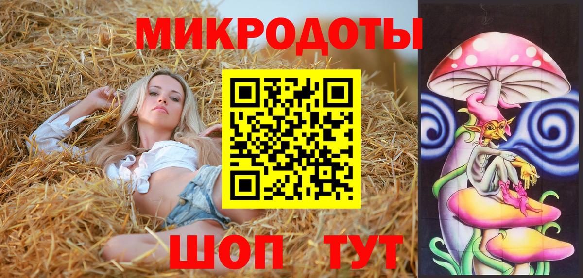 купить наркотик  Вход с VPN  Псилоцибиновые грибы Magic Shrooms  Димитровград  Галлюциногенные грибы Psilocybe 