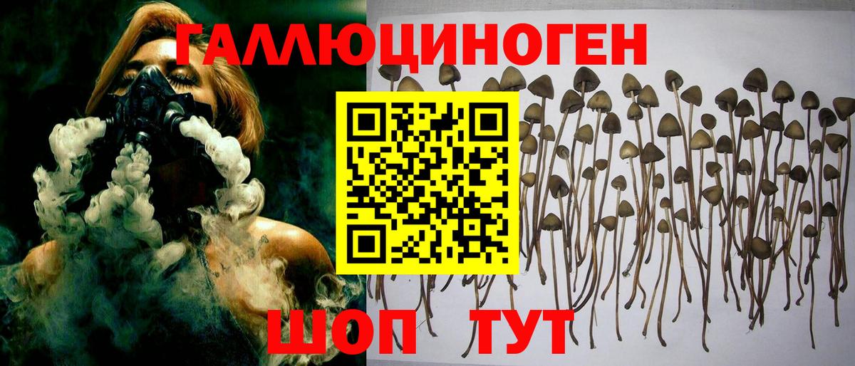 Галлюциногенные грибы MAGIC MUSHROOMS Димитровград